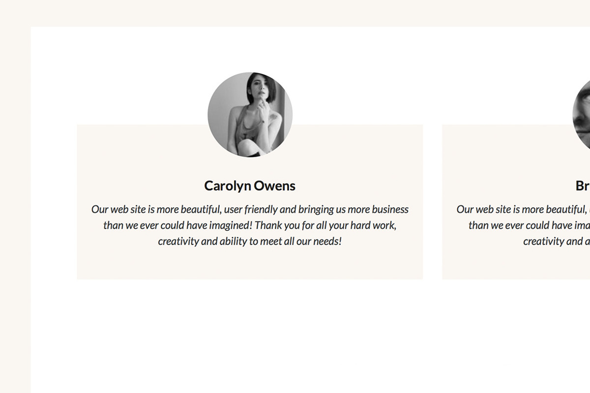 Designbiz WordPress Theme, a WordPress Template by Theme Junkie (Photo 4 of 4)