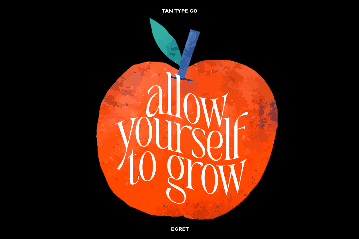 TAN - EGRET, a Serif Font by TanType (Photo 16 of 19)