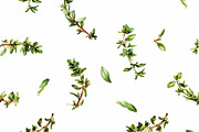 Set of 15 Seamless Vegetable Pattern, a Decorative Illustration by Miss Patterns (Thumbnail 11 of 16)