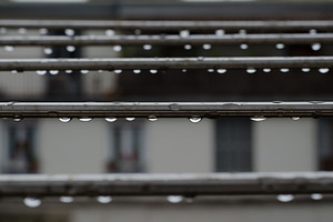 Hanging drops after rain