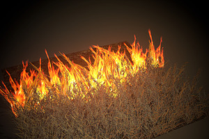 Burning Grass