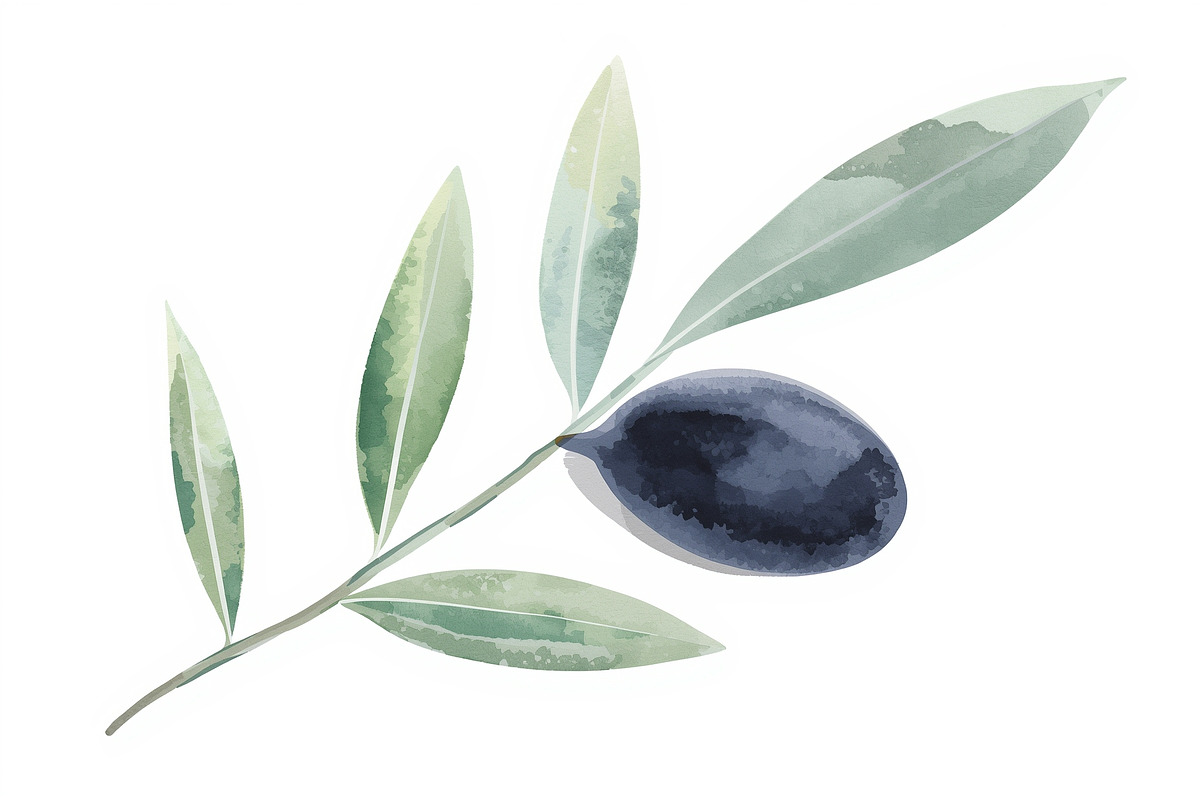 Olive Oil Watercolor Clipart Bundle, an Illustration by BIPLOB EXPERT (Photo 12 of 13)