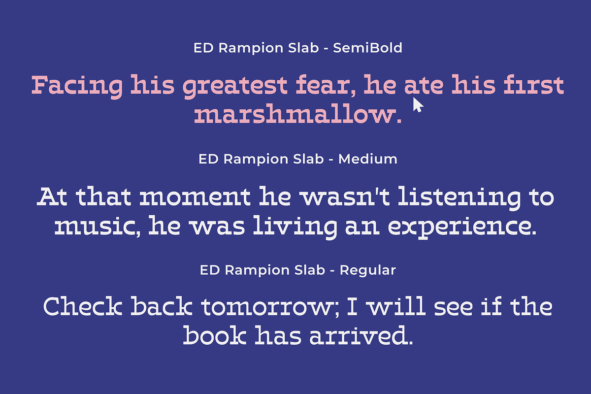 ED Rampion Slab, a Slab Serif Font by Emyself Design (Photo 4 of 12)