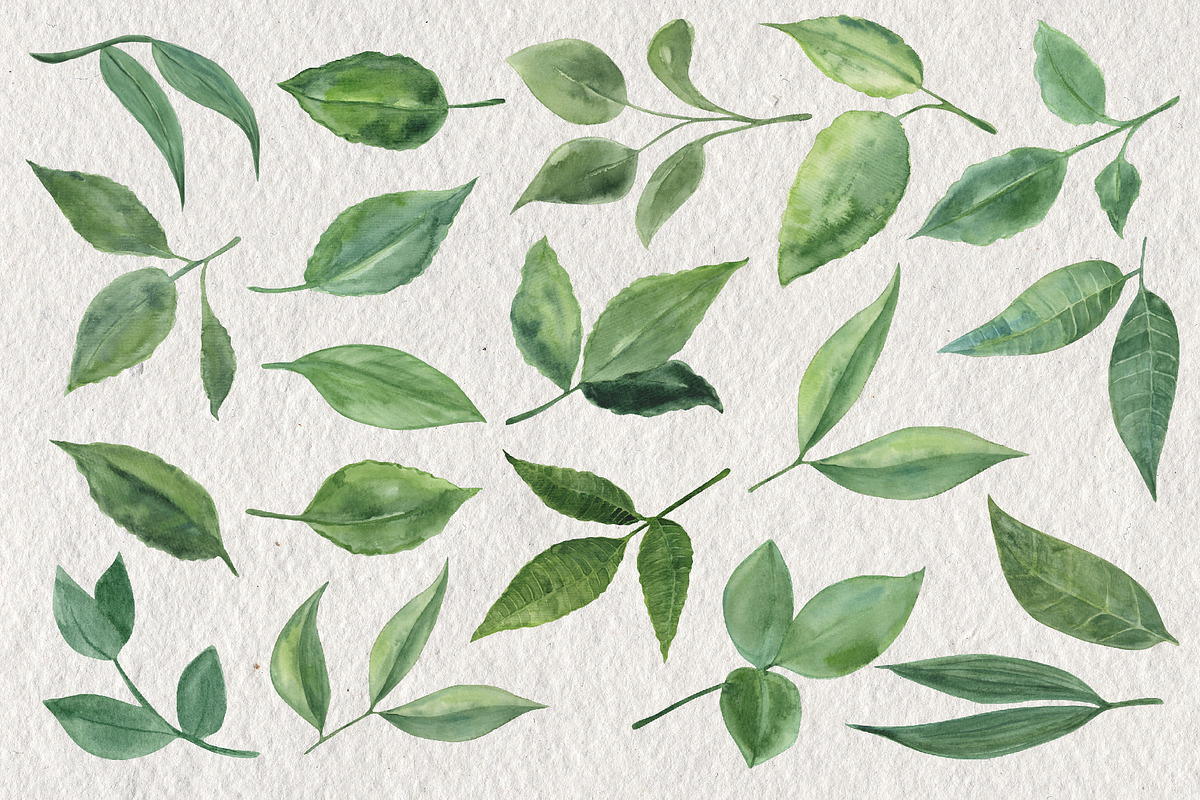 Leaves and Branches, an Object Graphic by Tiger and Flower (Photo 4 of 7)