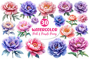 Pink & Purple Peony Flowers Clipart, an Illustration by Dream Creation (Thumbnail 1 of 6)