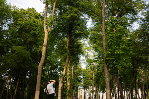 Woman standing in a vibrant park surrounded by tall green trees, a Person Photo by AS photostudio