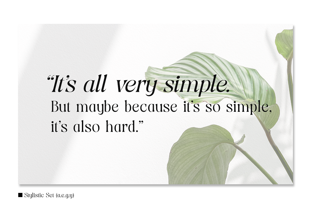 Viory - Extra Light with Italic, a Serif Font by Sign Studio (Photo 3 of 11)