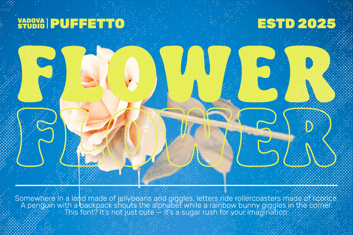 Pufetto Modern Bold Typeface Font, a Serif Font by Vadovastd (Photo 5 of 8)
