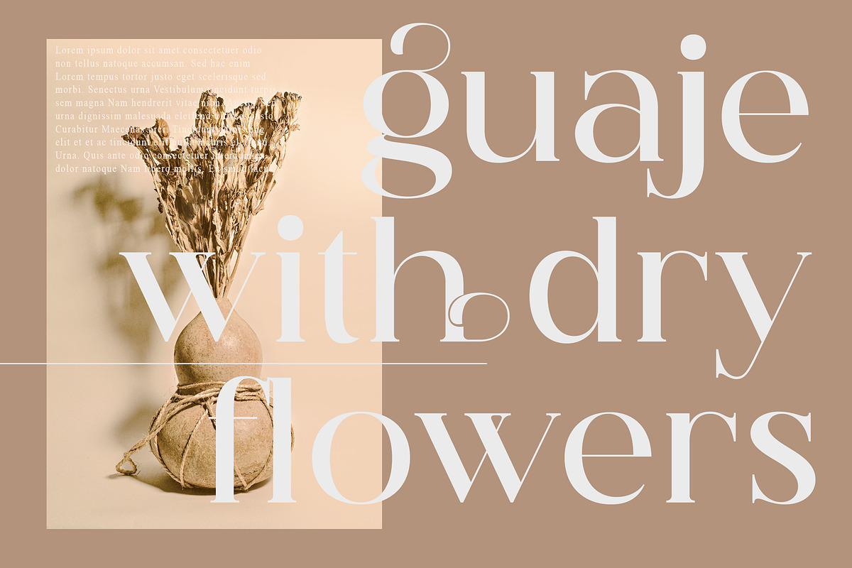 Hegam Modern and Stylish Serif Font, a Serif Font by Storytype Studio (Photo 2 of 15)