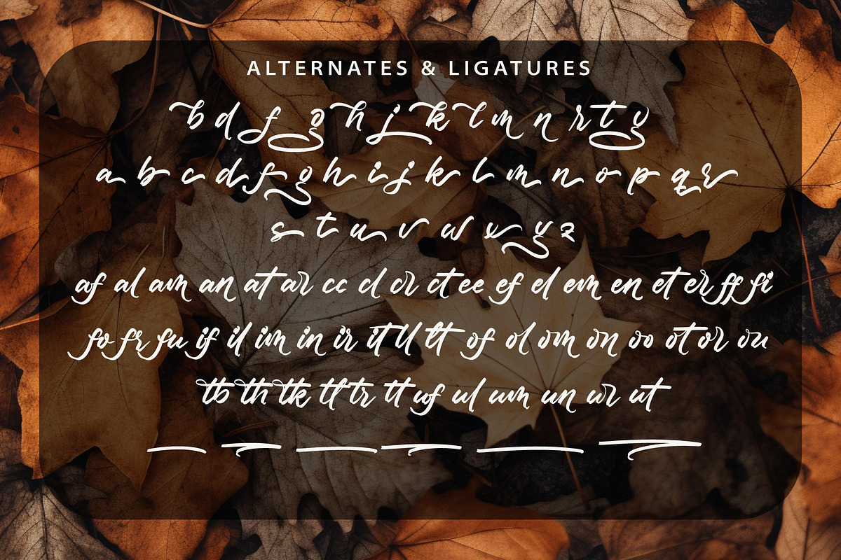 Blastegon - Modern Script, a Script Font by Graha Type (Photo 11 of 12)