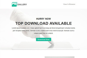 Gallery - Responsive Email Template