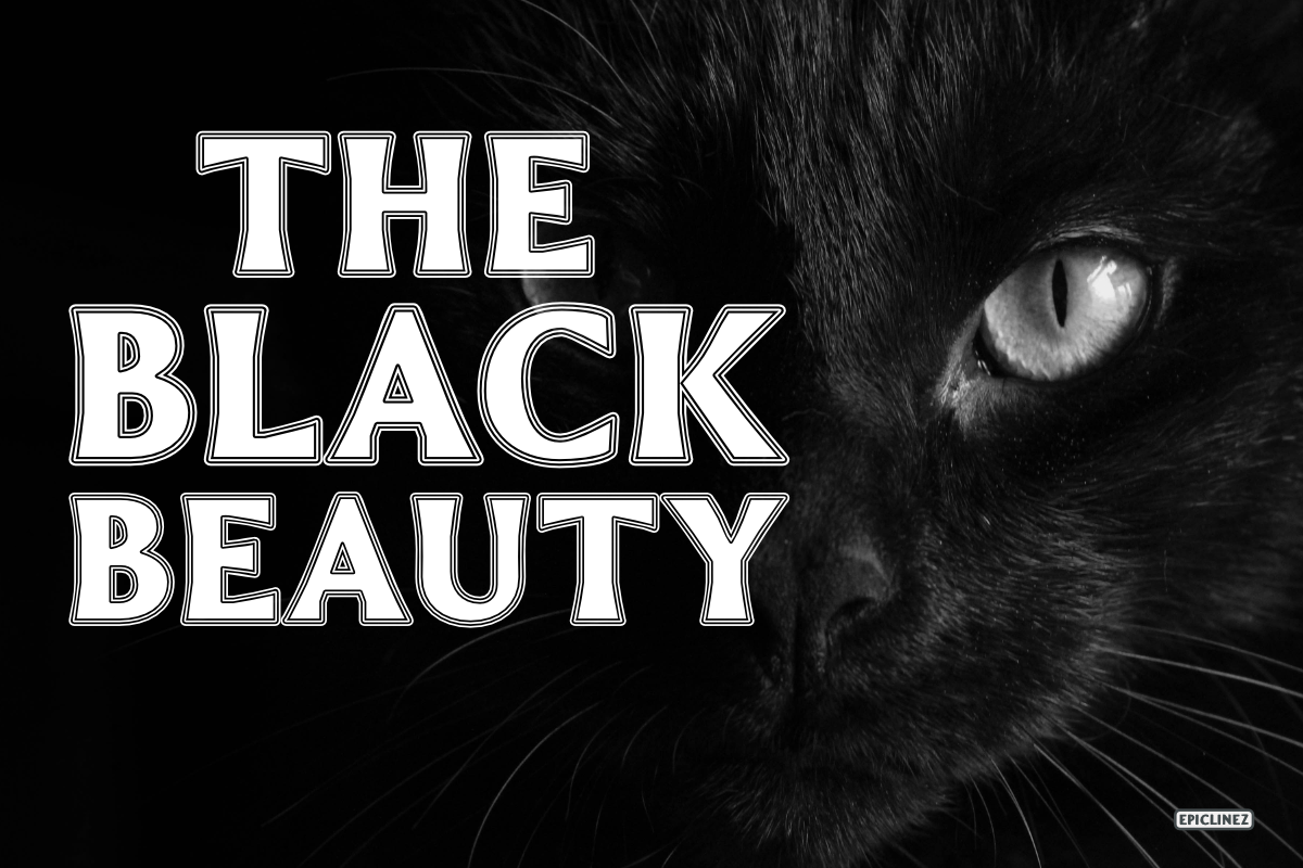 Thrive | Modern Display Typeface, a Font by Epiclinez (Photo 3 of 5)