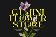 Vagins Vintage Serif Font, a Serif Font by Graphicxell (Thumbnail 5 of 8)