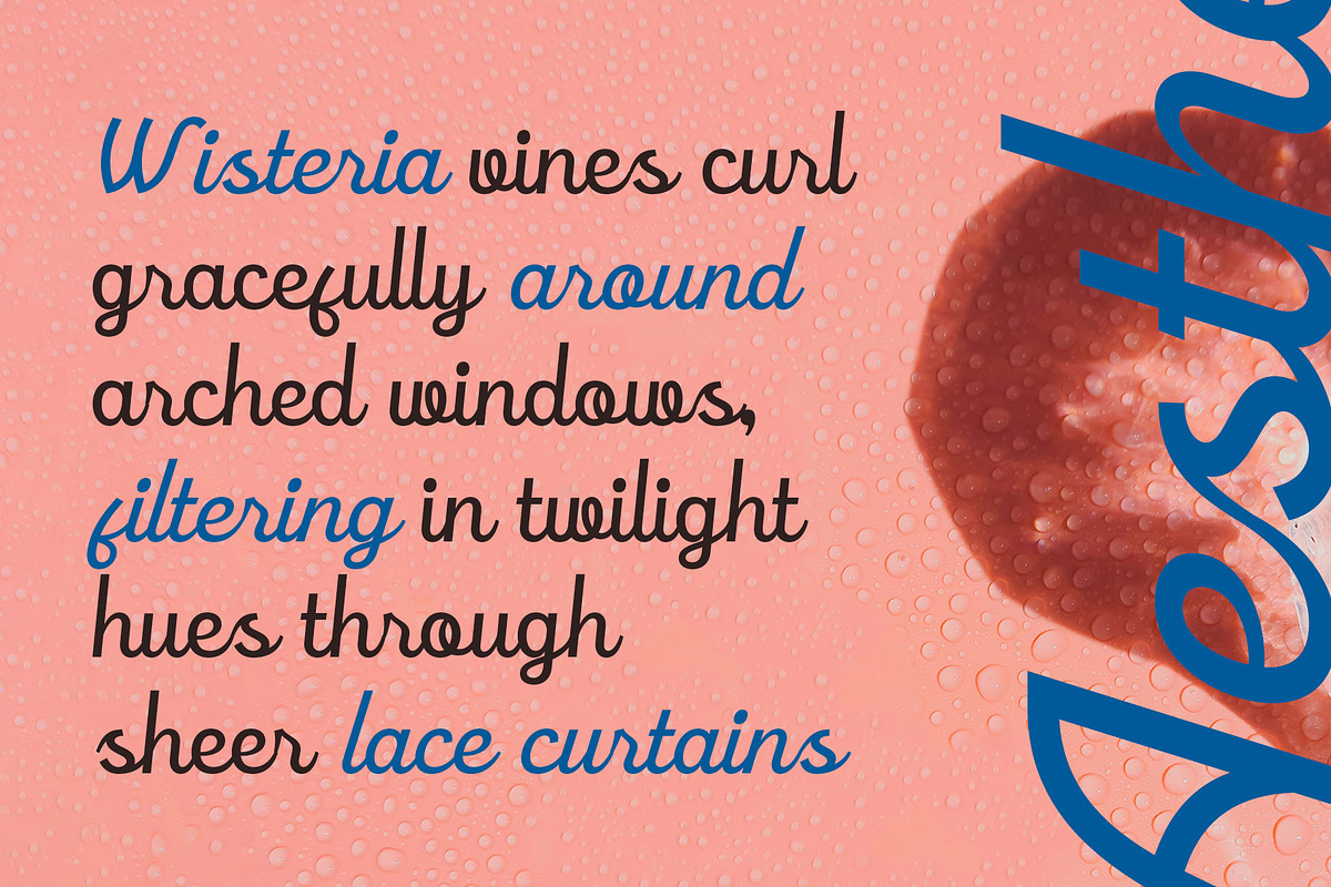 CS Rafles – Script Font, a Script Font by Craft Supply Co. (Photo 2 of 8)