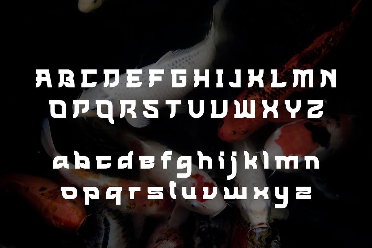 WATANABE -Japanese Style Typface, a Serif Font by AnnofaType (Photo 6 of 8)