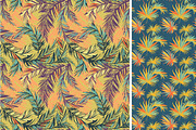 Big Tropical Set: patterns & frames, a Pattern Graphic by VasilkovS (Thumbnail 7 of 7)