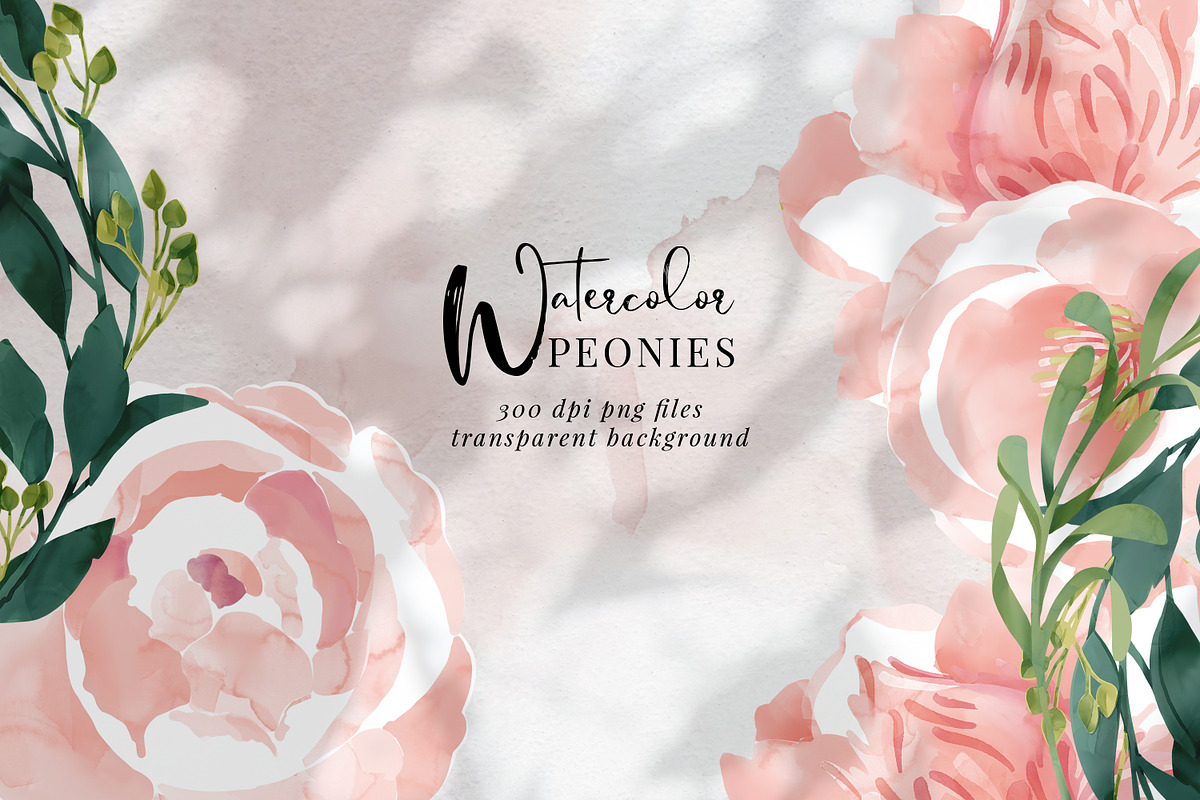 Watercolor flowers, Peony, botanical, an Illustration by Personal Epiphany (Photo 1 of 7)