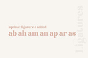 Brand Display Font, a Font by nurrontype (Thumbnail 9 of 18)