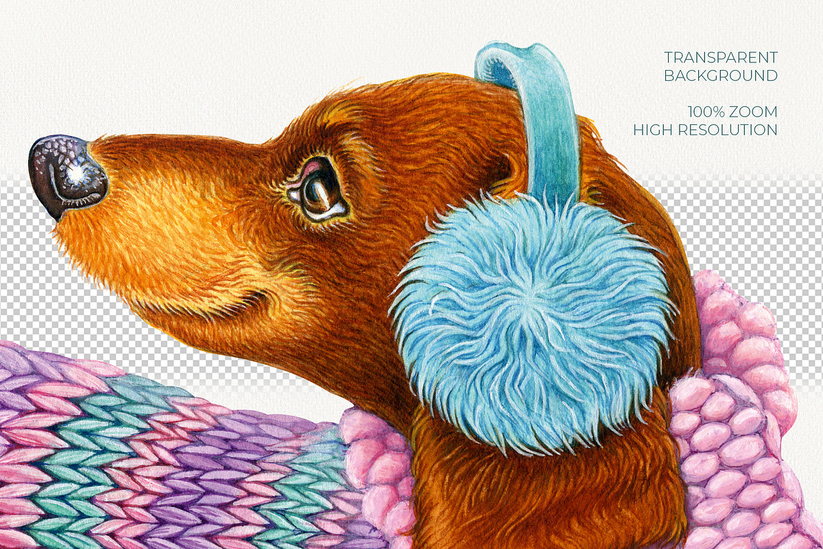 Dachshund Cute Winter Dog, an Animal Illustration by YarovaArt (Photo 4 of 7)