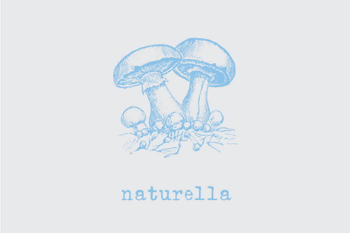 Intellecta’s Bestselling Collection preview 6