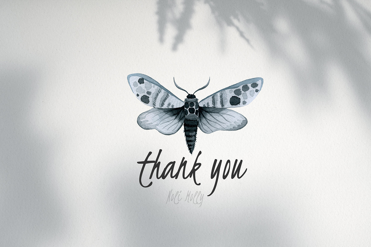 Moths. Watercolor set., an Illustration by Noli Molly Store (Photo 8 of 8)