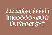 OT Palma, a Sans Serif Font by OneTen The Studio (Thumbnail 6 of 9)