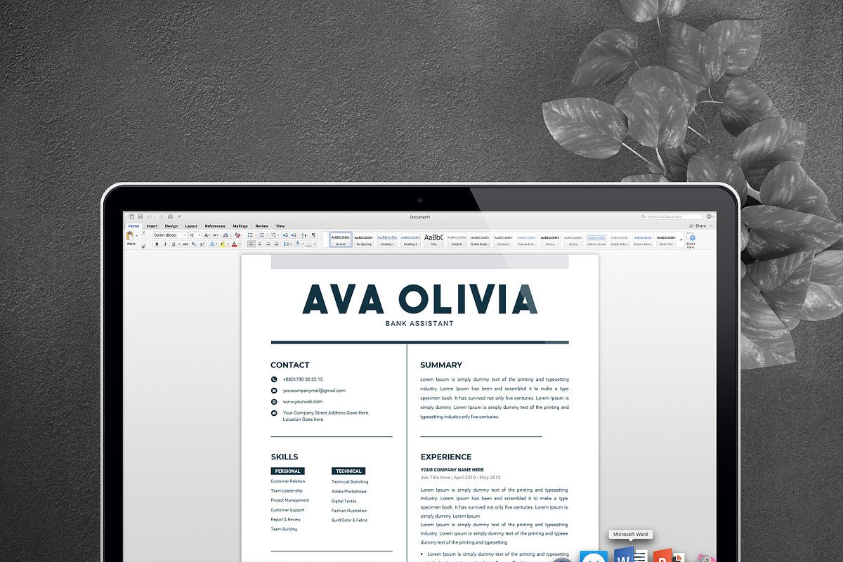 Clean Resume Template MS Word, a Resume Template by ResumeInventor