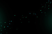 Spark Effex V2 - Spark Effects PNGs, an Object Graphic by Mike Moloney (Thumbnail 3 of 6)
