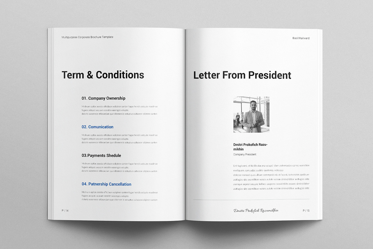 Multipurpose Corporate Brochure, a Brochure Template by E-Type (Photo 6 of 7)