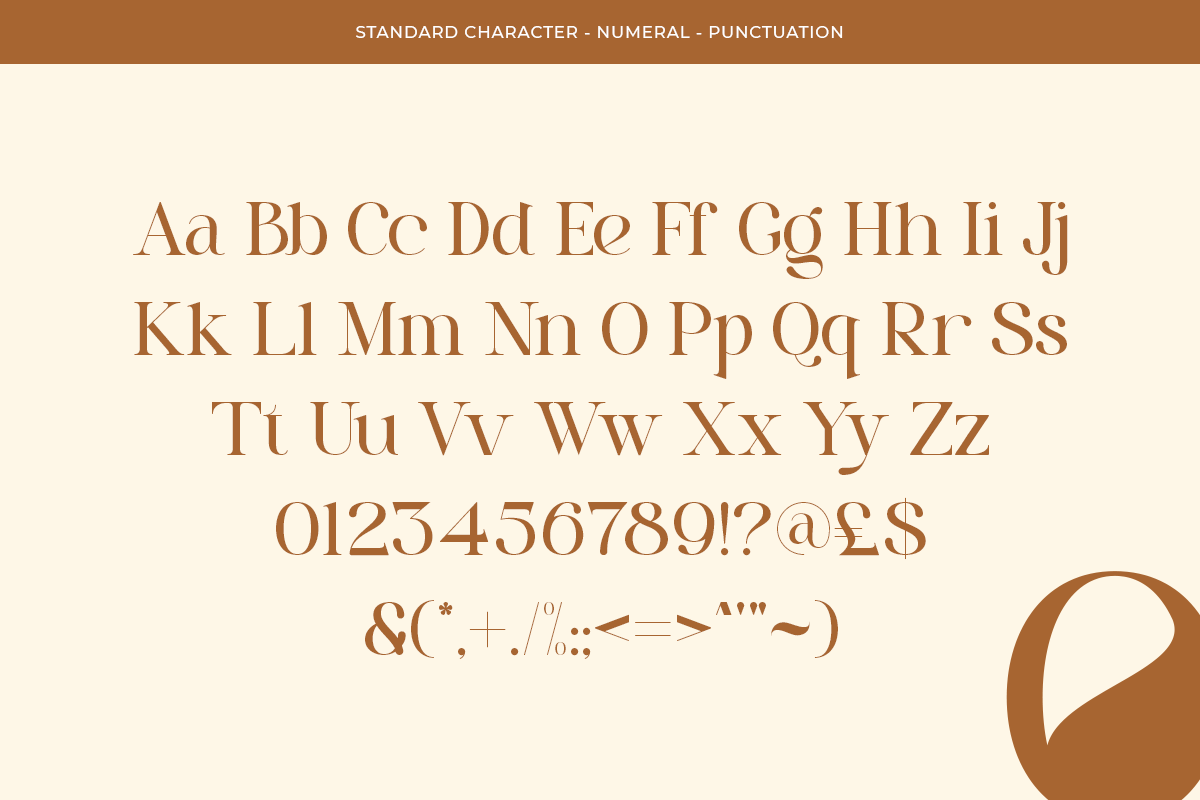 Pritude Radiance - Elegant Branding, a Serif Font by Sohel Studio (Photo 8 of 10)