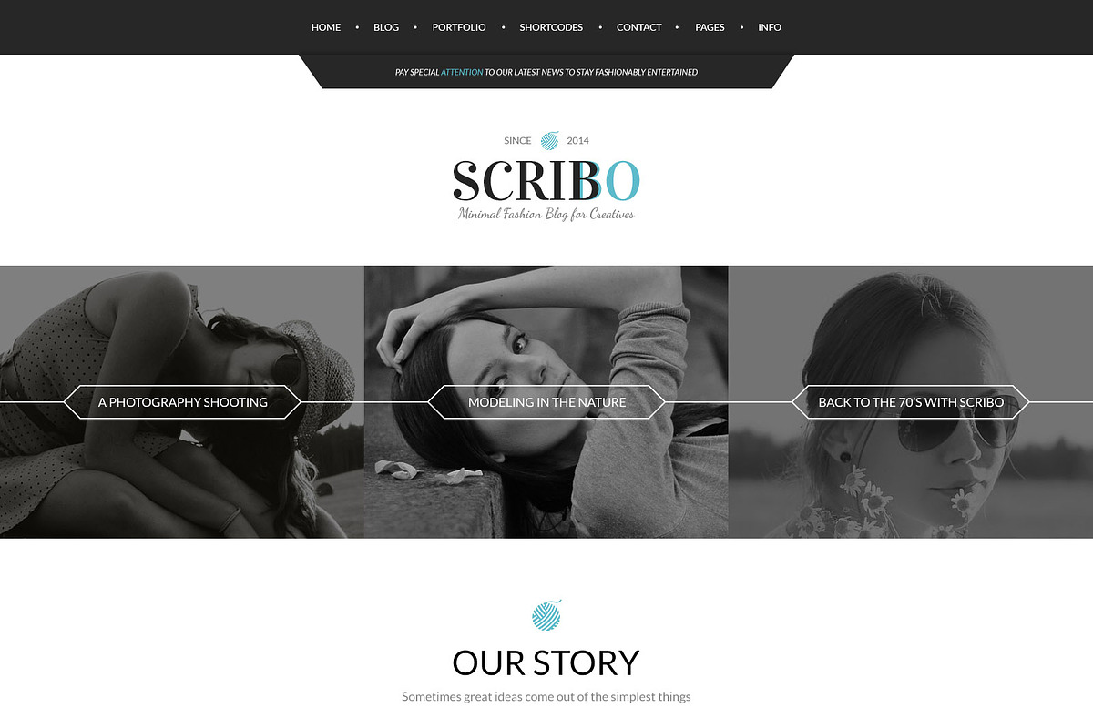 Scribbo Wordpress Blog Theme, a WordPress Template by PremiumCoding (Photo 5 of 5)