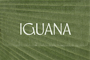 Iguana - Airy & Grounded Font by Meg, a Sans Serif Font by MEG BURK CHOI (Thumbnail 1 of 3)