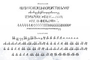 Dalillah, a Script Font by sabrcreative (Thumbnail 8 of 8)