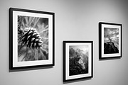 30 Black and White Nature Wall Art, a Nature Photo by Image for Sale (Thumbnail 2 of 3)