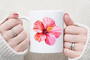 Tropical Watercolor Clipart Collecti, an Illustration by Sublimation Artist (Thumbnail 5 of 6)
