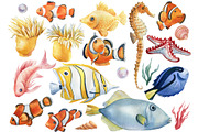 Seashells and fish, watercolor, an Animal Illustration by Hanna Hryharenka (Thumbnail 14 of 20)