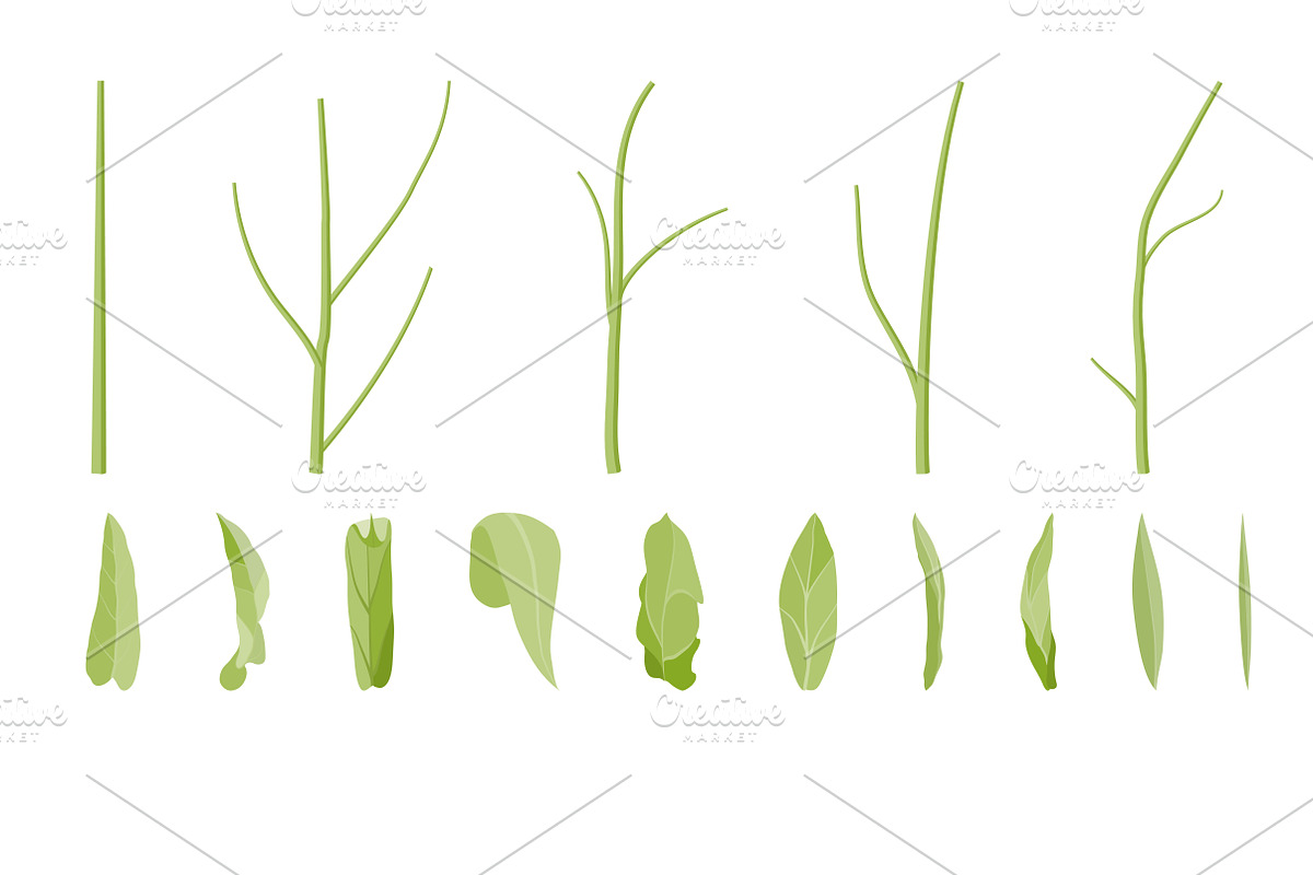 Vector object brushes. Calendula preview 4