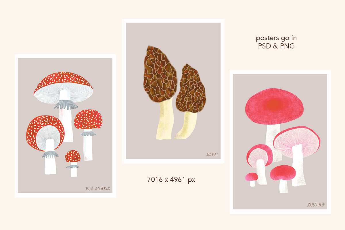 Autumn Treasures, a Seasonal Illustration by Annakniaz (Photo 7 of 13)