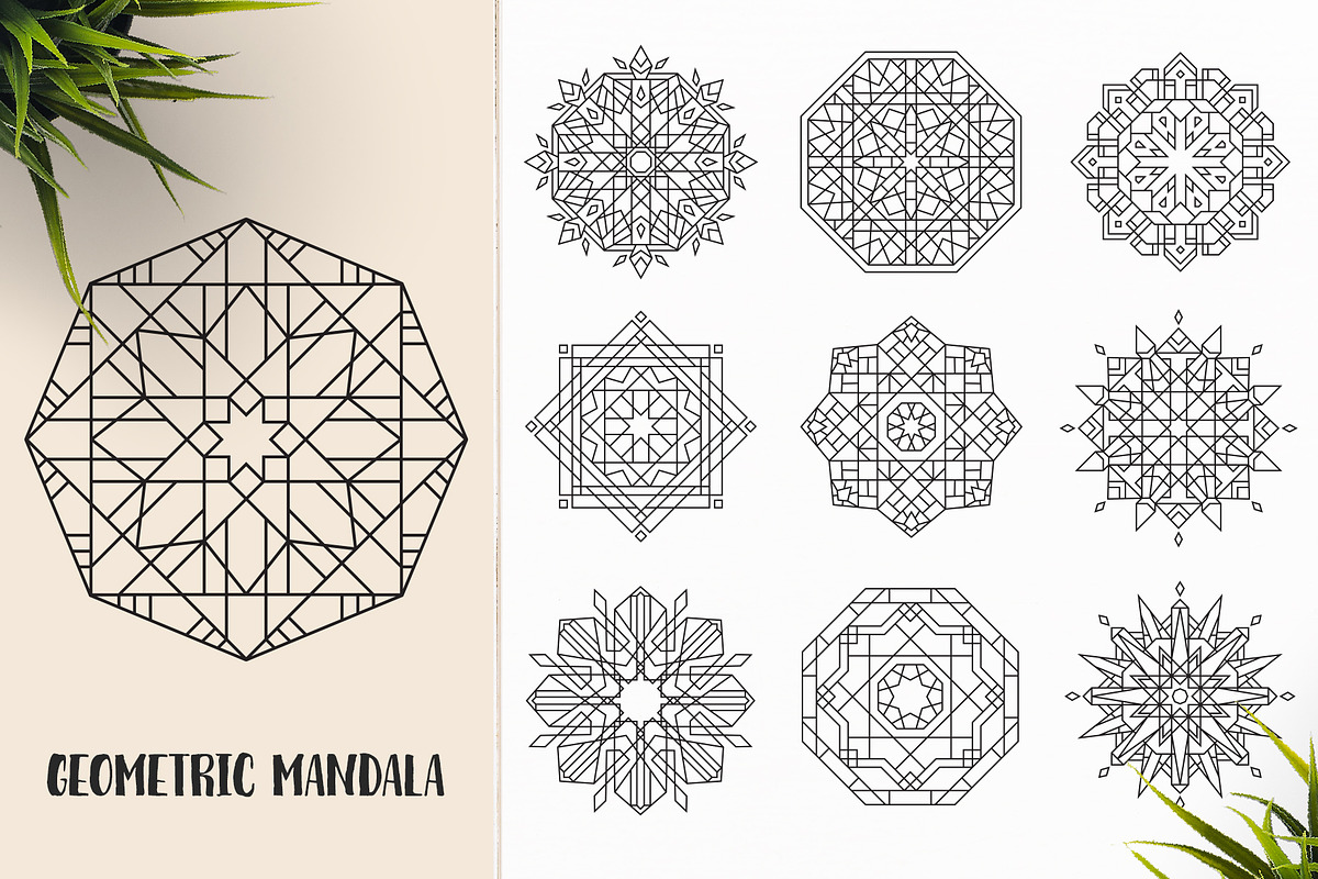 530 Vector Mandala Ornaments, an Animal Illustration by pixaroma (Photo 38 of 55)