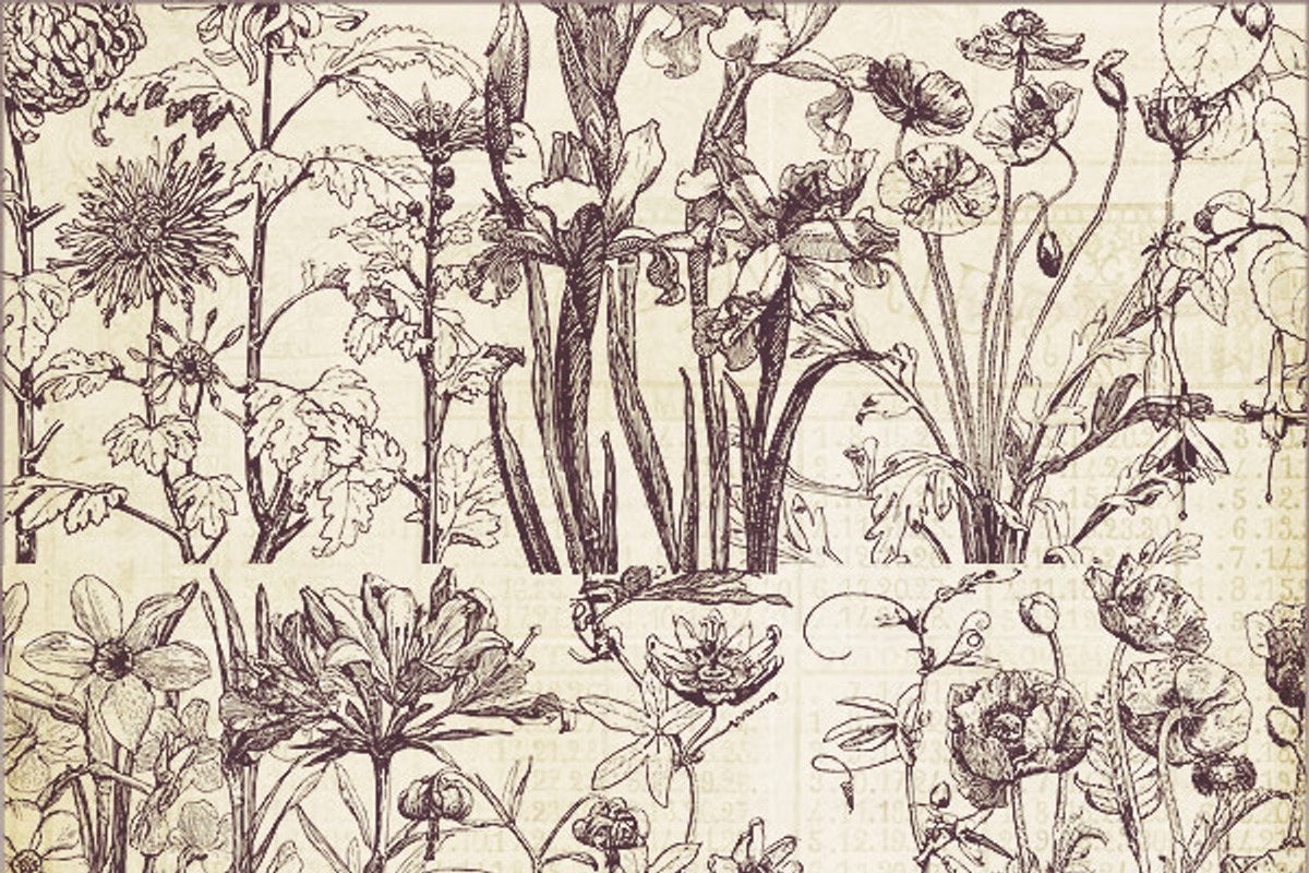 Vintage Floral Brushes 1, a Brush Add-On by Jodie Lee Studio