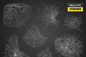 Realistic Spiderweb Set