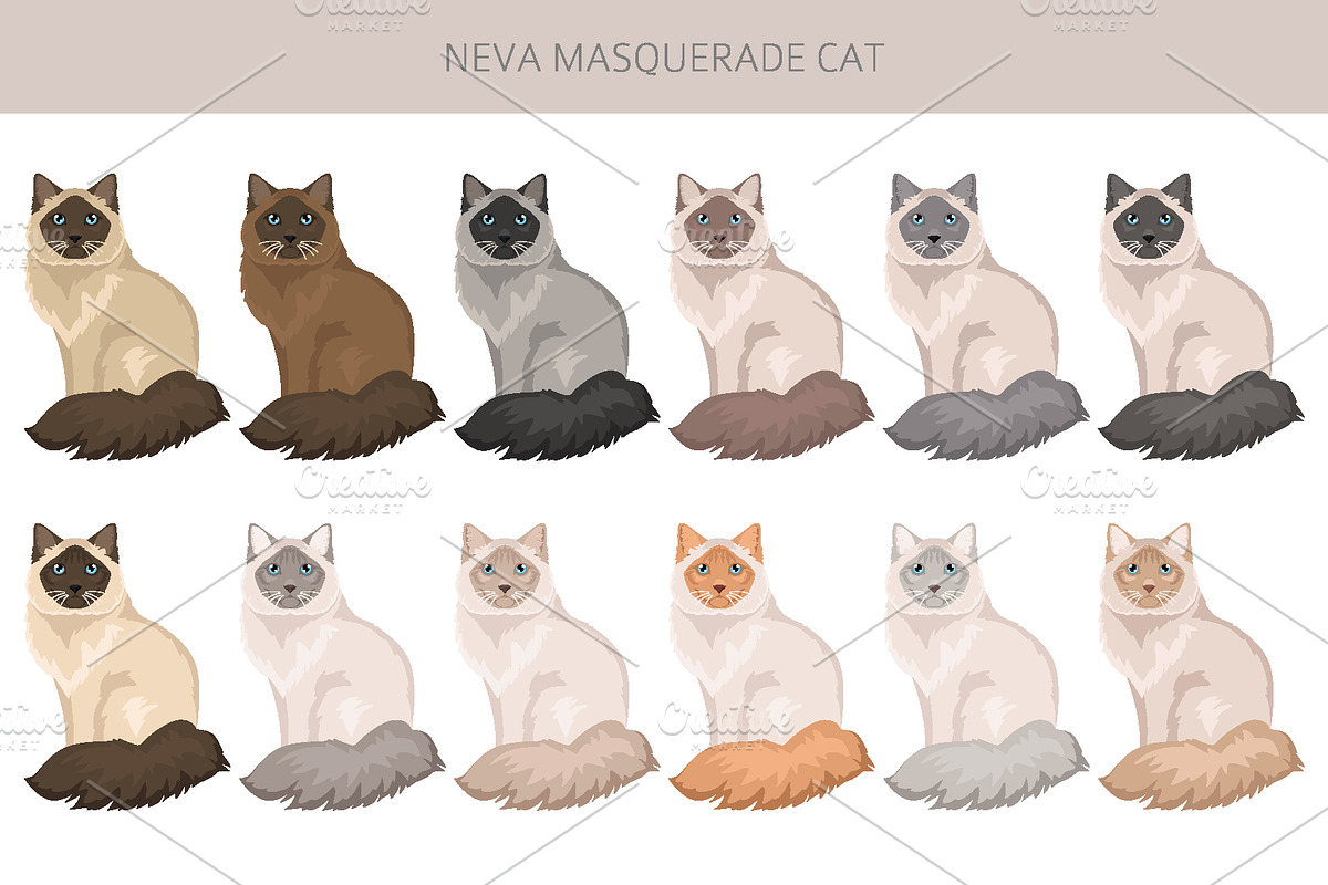 Neva Masquerade cat, an Animal Illustration by pet design shop (Photo 3 of 6)