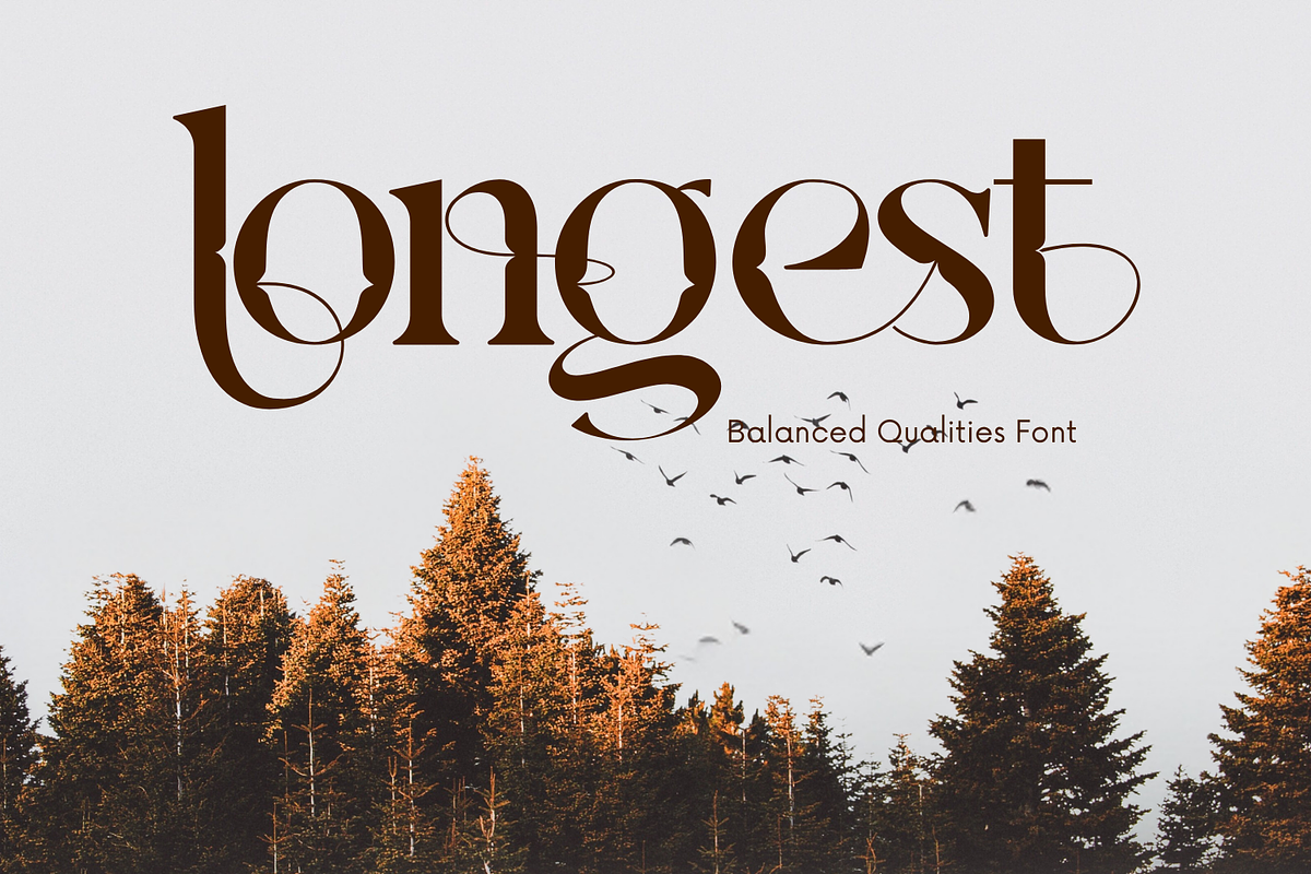 Balanced Qualities - Elegant Font, a Serif Font by 177Studio (Photo 3 of 8)