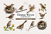 Watercolor House Wren Clipart Set, an Animal Illustration by The Twin Lakes Studio (Thumbnail 1 of 7)