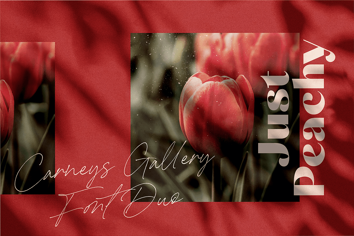 Carneys Gallery Font Duo, a Sans Serif Font by Letteralle Studios (Photo 2 of 16)