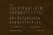 Welcome Elegant Serif Fonts, a Serif Font by Graphicxell (Thumbnail 8 of 8)