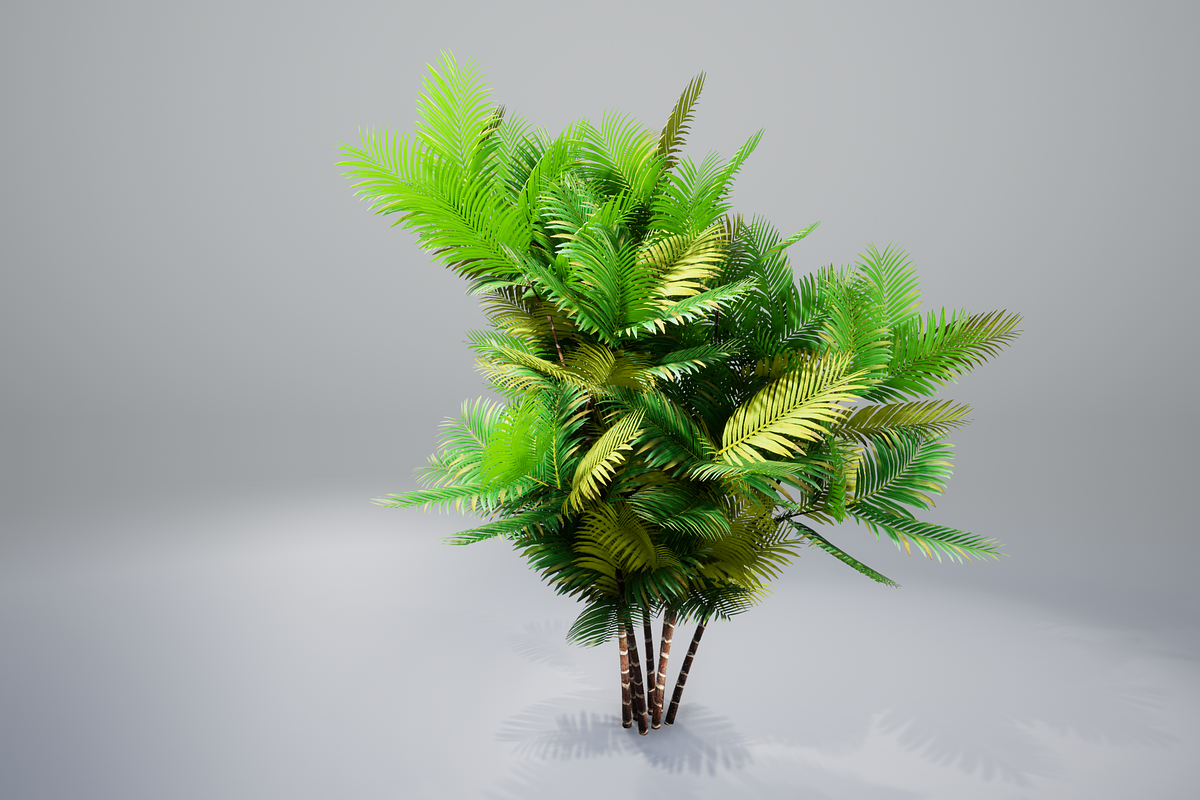 Pinanga coronata, an Environmental 3D Model by AndrewWhite (Photo 11 of 25)