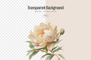 Peony - watercolor illustrations, a Decorative Illustration by AI Crafted Magnolia (Thumbnail 2 of 12)