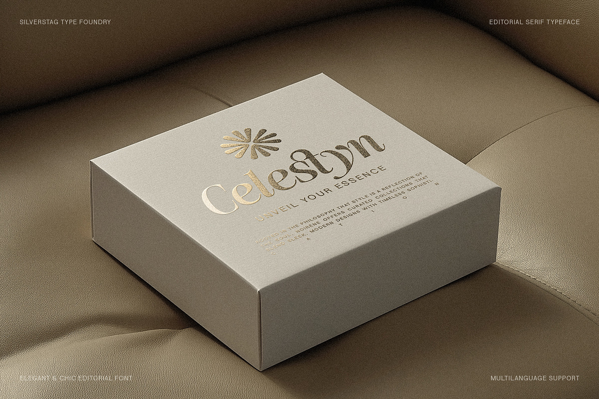 The Silver Editorial - 18 Fonts Pack, a Serif Font by SilverStag Type Foundry (Photo 16 of 30)