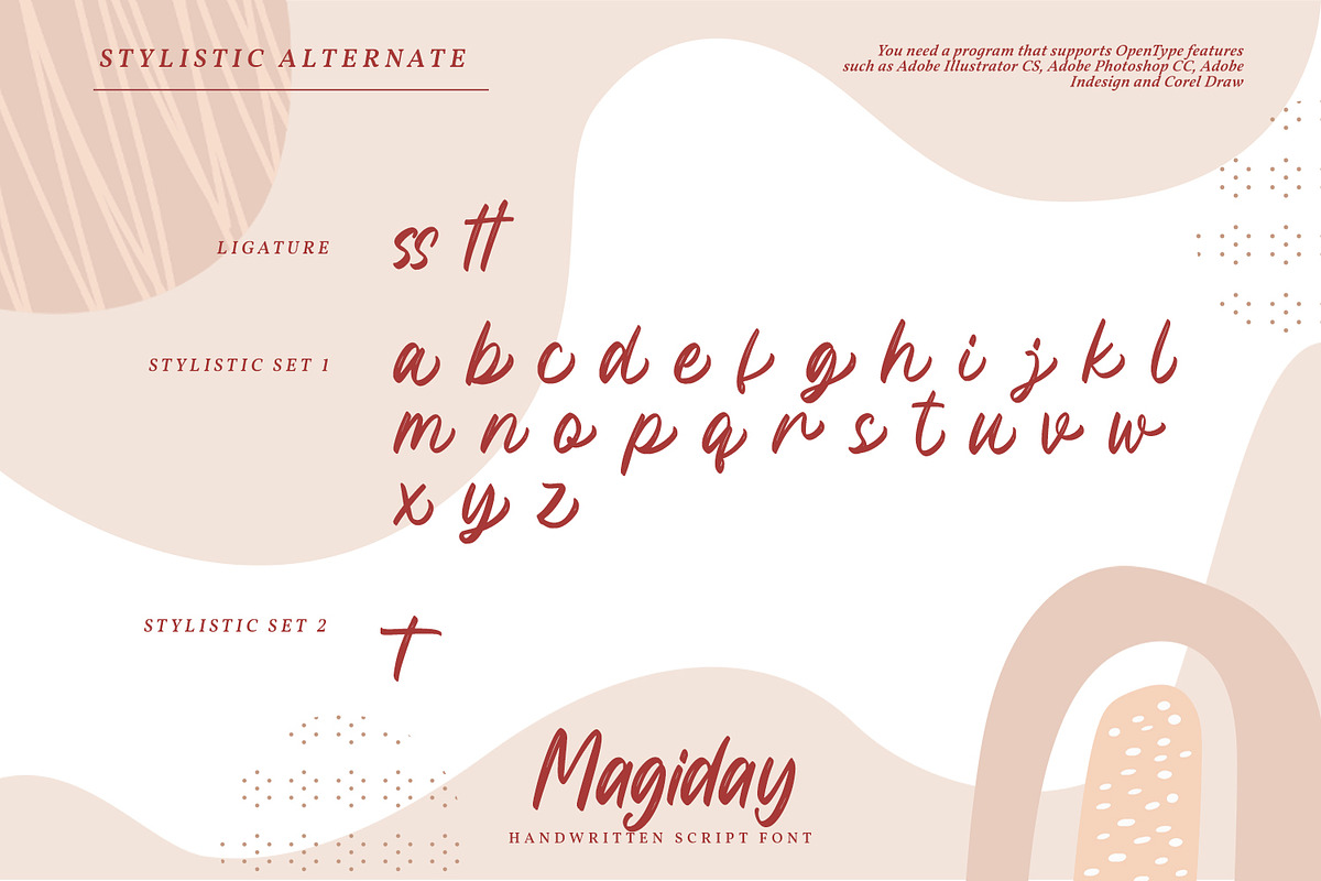 Megiday, a Script Font by Ditatype (Photo 6 of 8)
